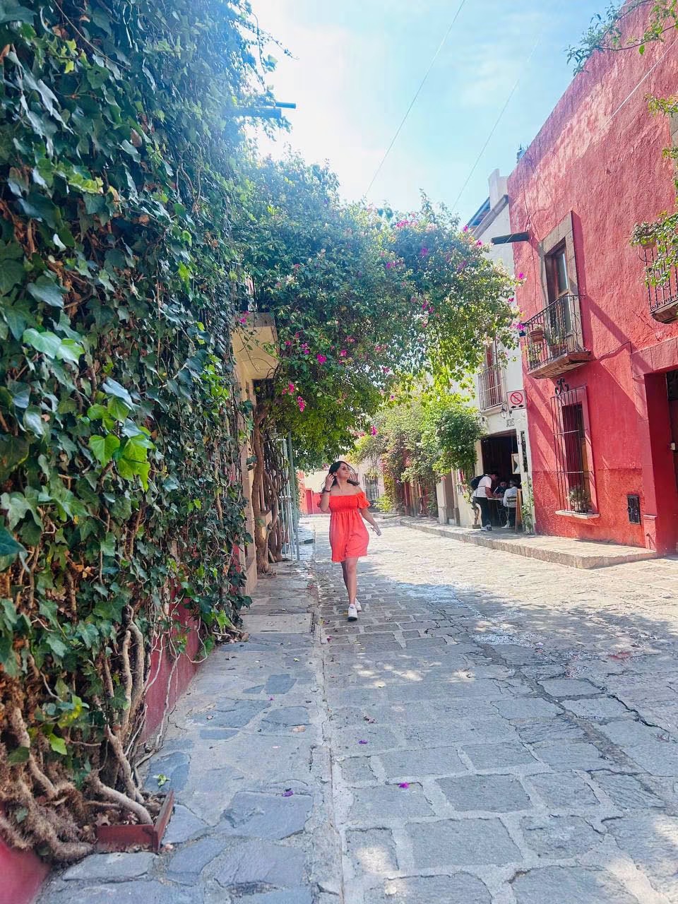 Calle colonial llena de vegetación